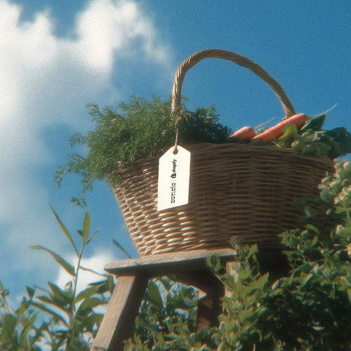 The Sonsie Garden